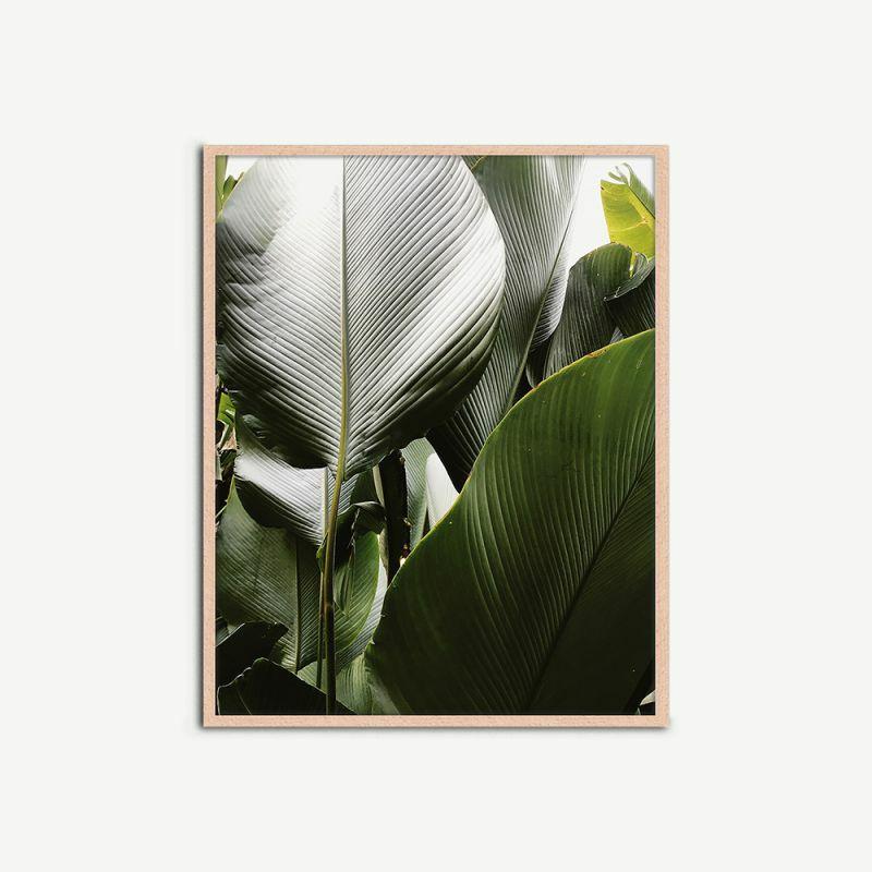 Artwork |  Green Leaves Wall Art, Framed Artwork Artwork